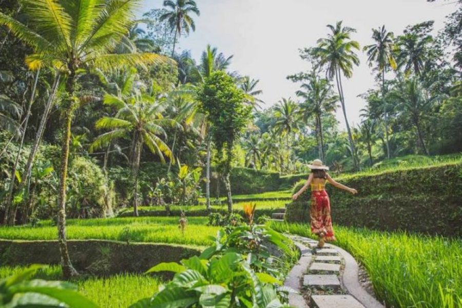 Discover Ubud