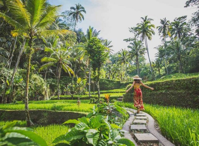 Discover Ubud – Heart of Bali