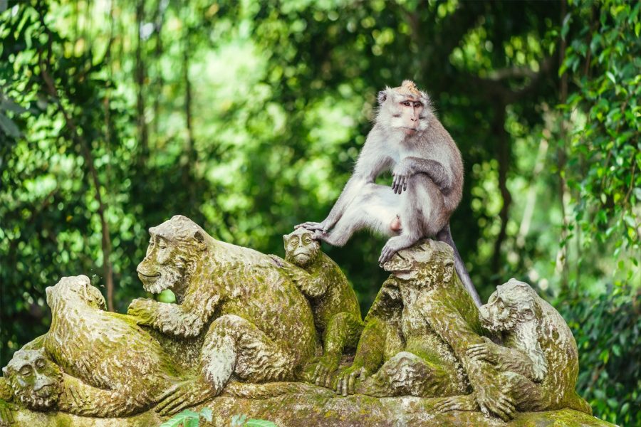 3D2N – Romantic Bali Escape