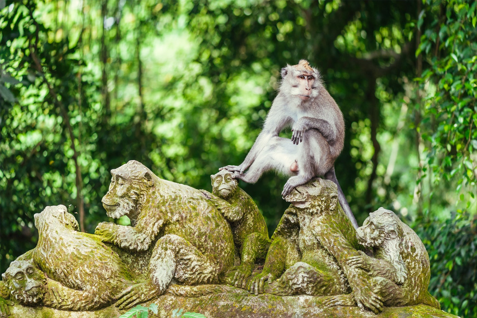 Bali Ubud Cultural Tour