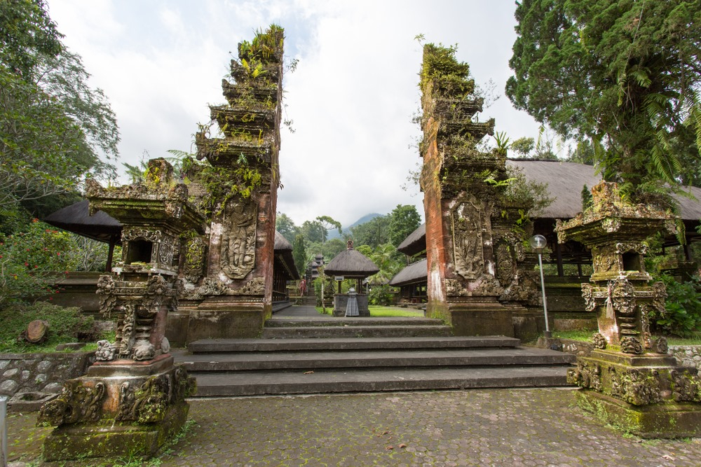 Discover Temple highlights & Rainforests