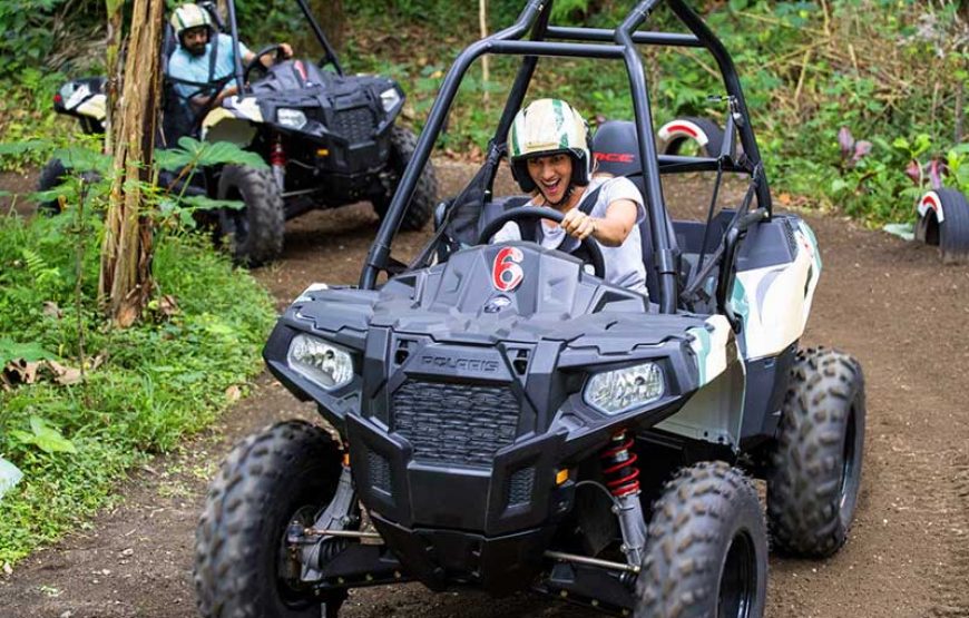 Jungle Buggies Experience by Mason Adventures