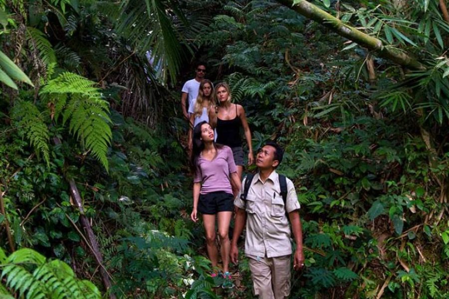Bali Jungle Trekking Tour: Rice Fields, Villages & Local Culture