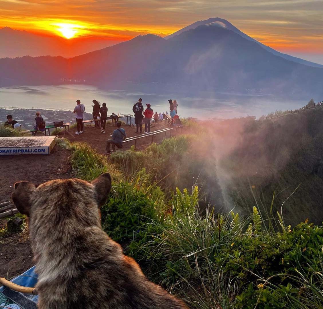 Day 2: Mount Batur Sunrise Jeep Tour and Hot Spring