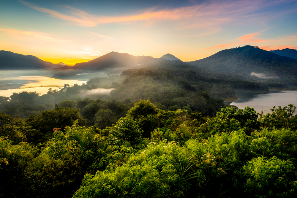 Kintamani