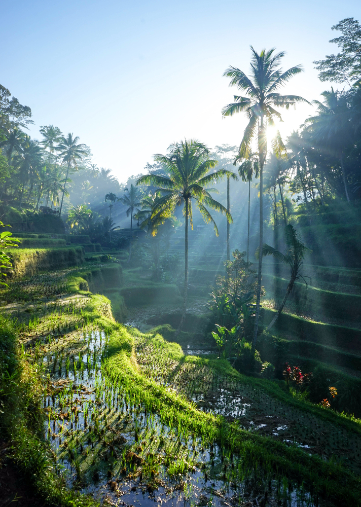 4D/3N Private Bali Authenthic Experience