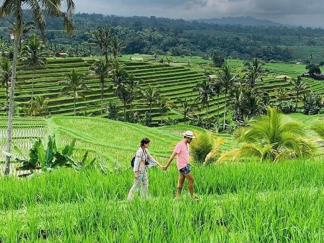 Selat rice terrace