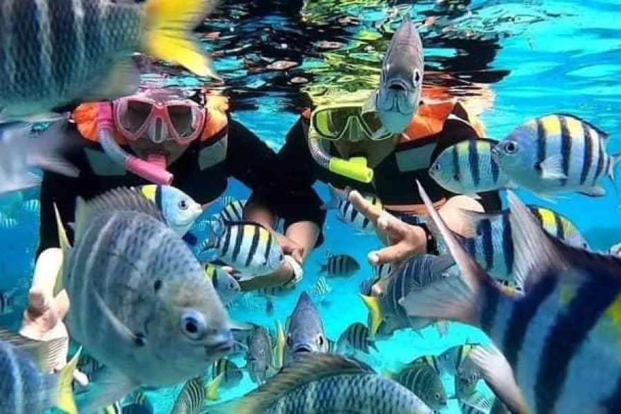 Nusa Penida Snorkeling Tour: Manta Point & Crystal Bay